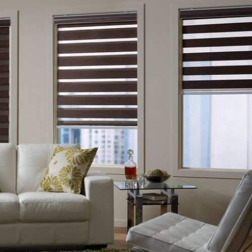 Light Control Zebra Blinds